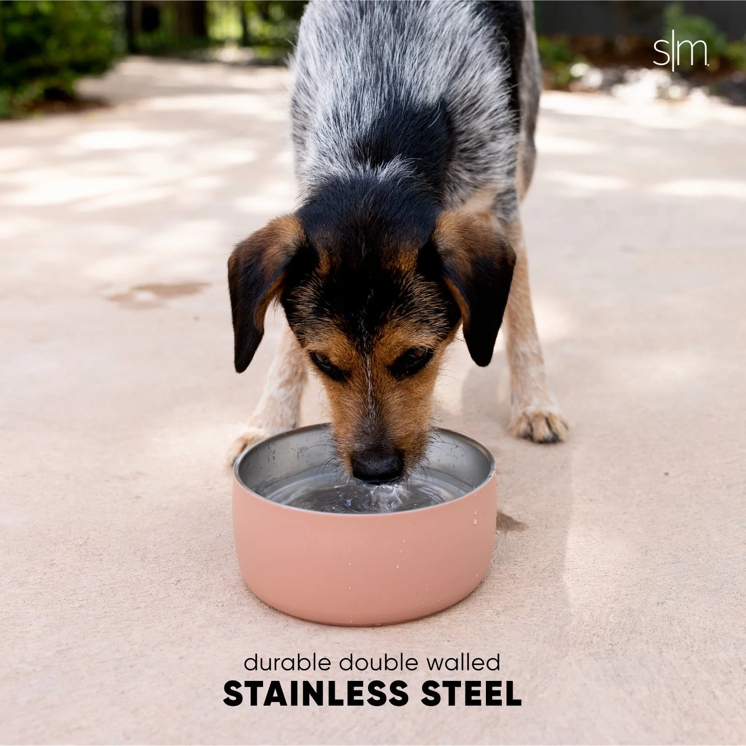 Bentley Pet Bowl - Image 3