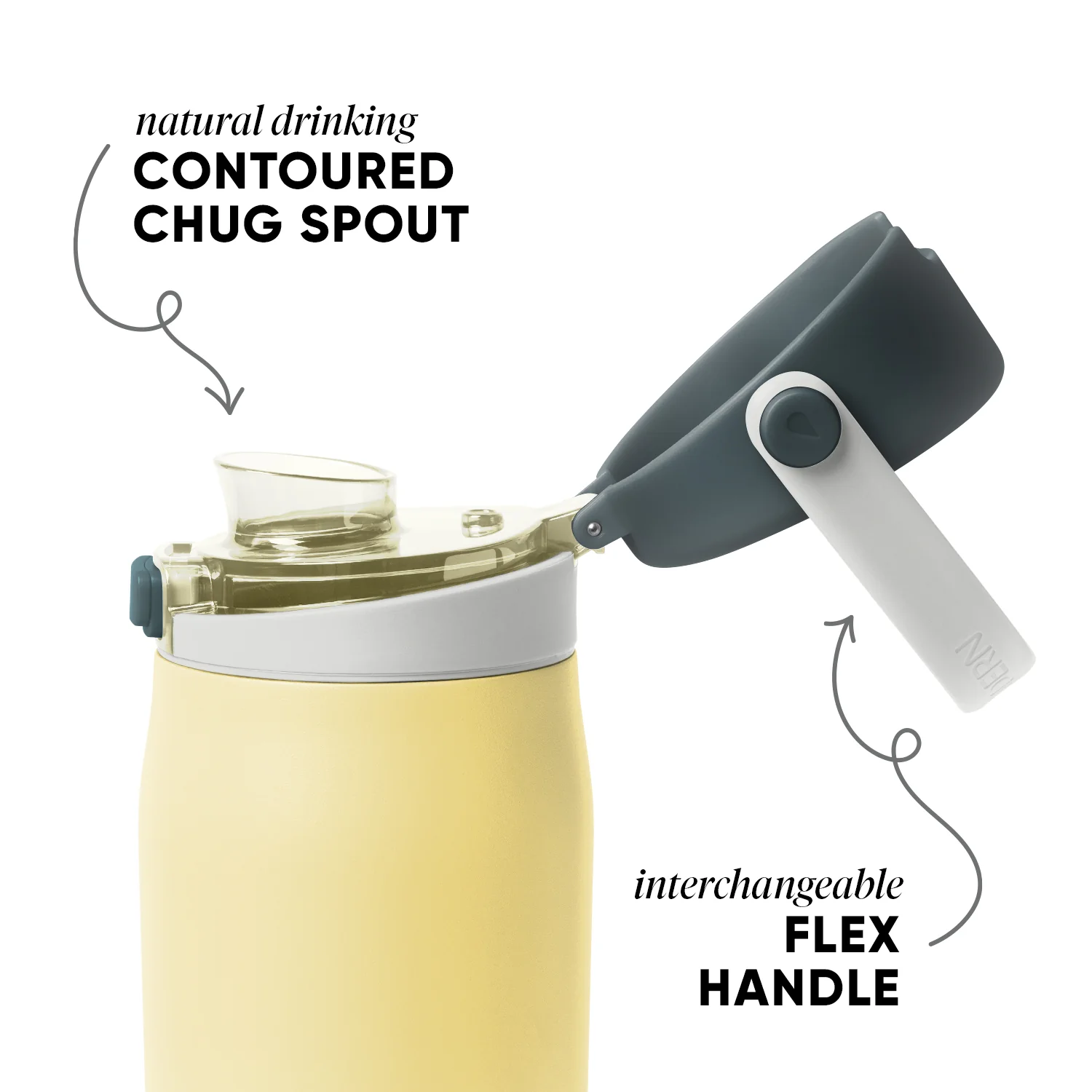 Mesa Sport with Covered Chug - Image 2